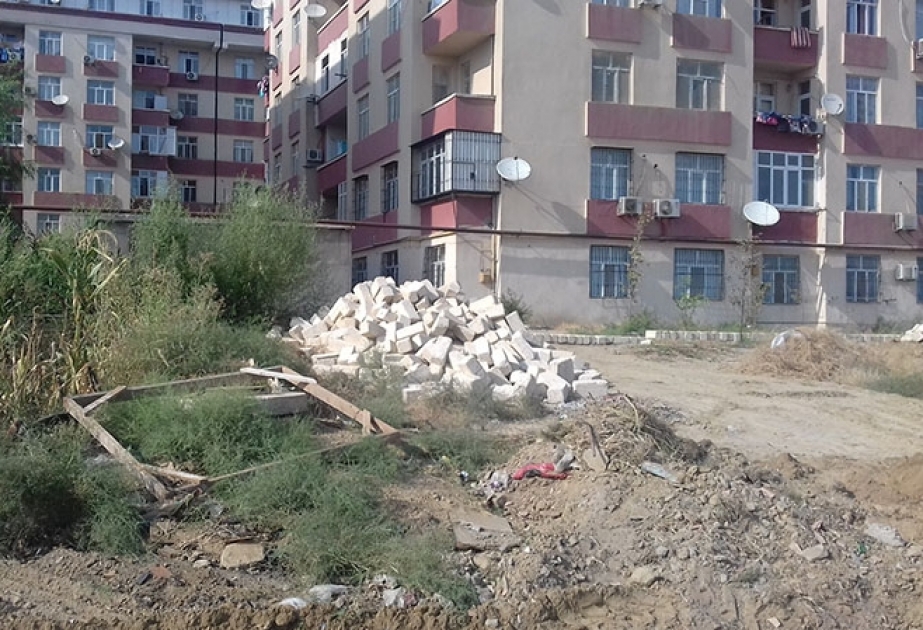 Abşeron rayonunda dörd söyüd ağacının kökündən çıxarılması faktı aşkar edilib