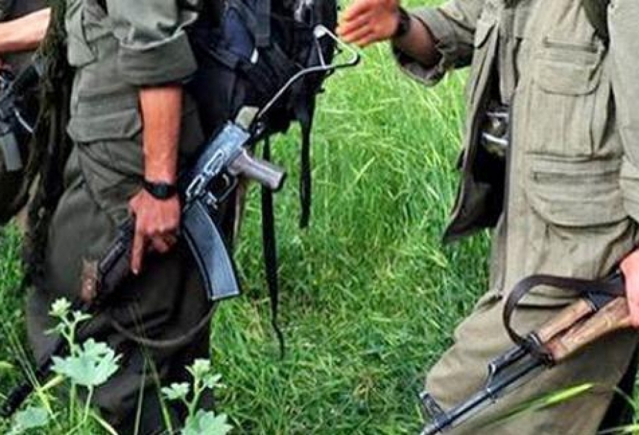 2 PKK terrorists killed in southern Turkey