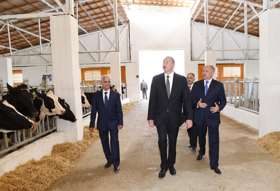 President Ilham Aliyev viewed Gunashli-Agro LLC`s Agropark in Jalilabad