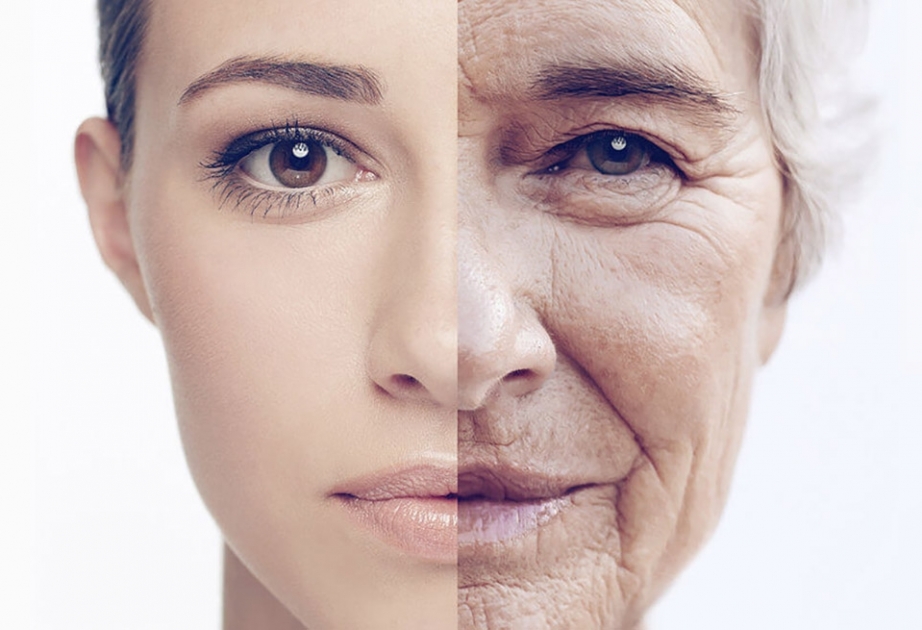 Биологи нашли способ замедлить старение