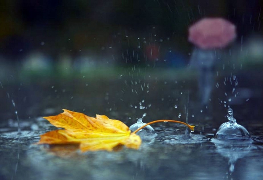 Havanın temperaturu düşəcək, yağış yağacaq