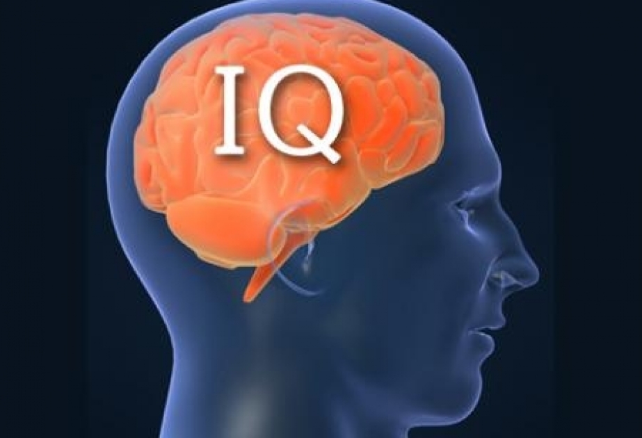 Ученые назвали причины снижения IQ человечества