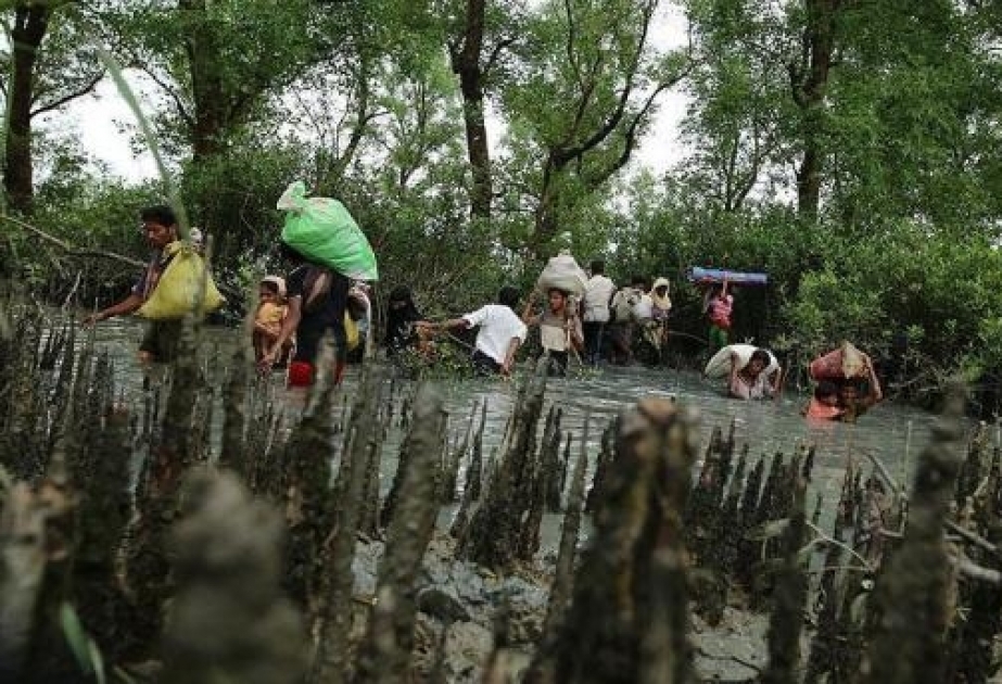 UN-Flüchtlingshilfswerk: Zahl der Rohingya steigt dramatisch