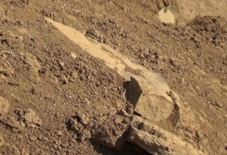 В Джалилабаде обнаружено относящееся к бронзовому периоду кладбище и древнее поселение