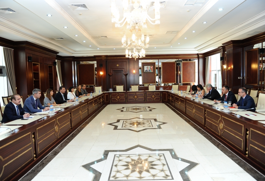 Les relations Azerbaïdjan-APCE au menu des discussions au Milli Medjlis