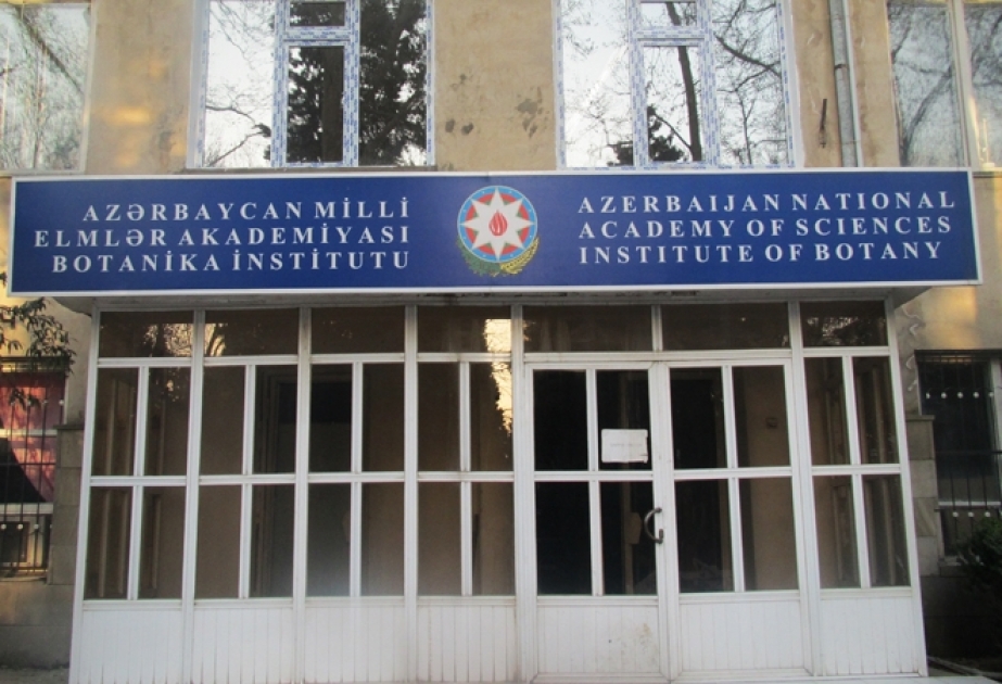 Институт ботаники Академии наук Азербайджана будет сотрудничать с Обществом ботанических садов США