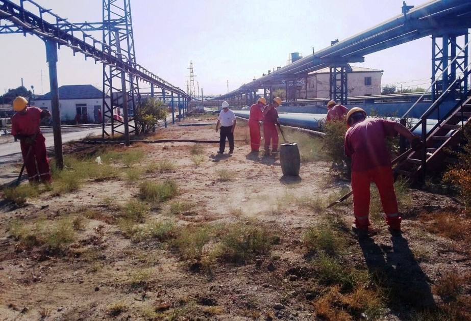 “Ekol Mühəndislik Xidmətləri”nin xidmət sahələrində Neftçilər günü ərəfəsində iməcilik keçirilib