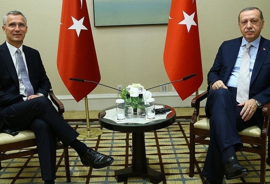 土耳其总统与北约秘书长举行会晤