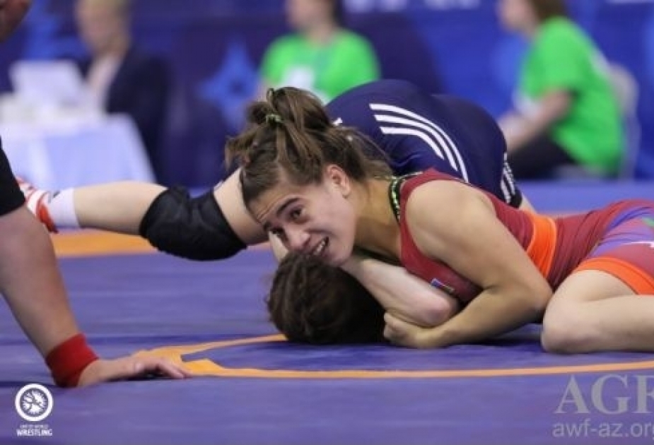 Azerbaijani female wrestler takes silver at World Military Championships