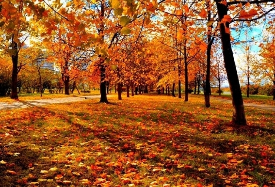 Erster Herbsttag