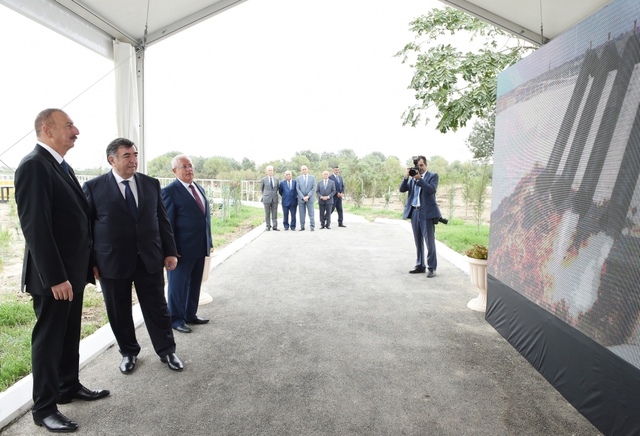 Президент Ильхам Алиев принял участие в церемонии подачи воды для орошения на посевные участки Нефтчалинского района ВИДЕО