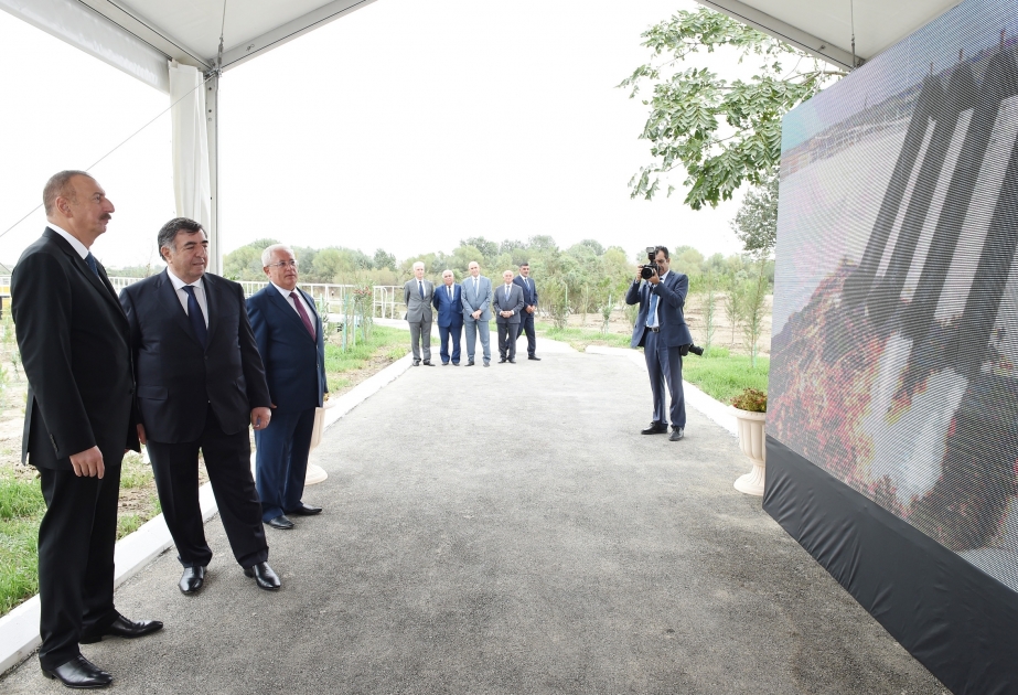 President Ilham Aliyev attended ceremony to supply water to cultivated lands of Neftchala district VIDEO