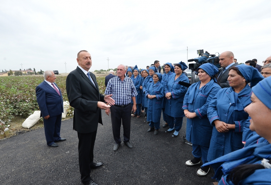 Präsident Ilham Aliyev besucht Baumwollfeld in Nefttschala VIDEO