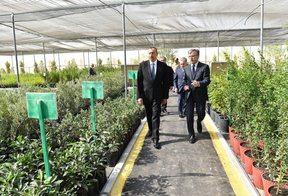 Salyan : le président Ilham Aliyev visite le complexe du dessalement de l'eau de mer dans le village de Khydyrly VIDEO