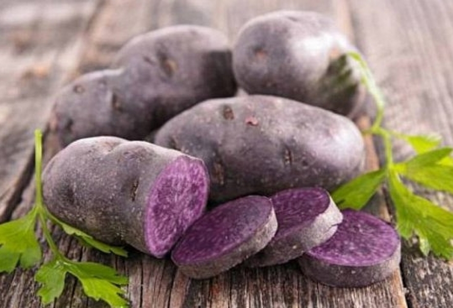 Фиолетовый картофель защитит от рака кишечника