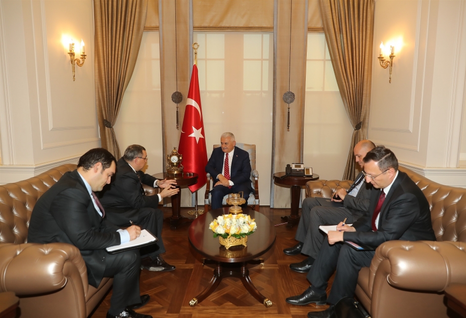 Binəli Yıldırım: Ermənistan silahlı qüvvələrinin iki yaşlı Zəhranı qətlə yetirməsi insanlıq əleyhinə cinayətdir