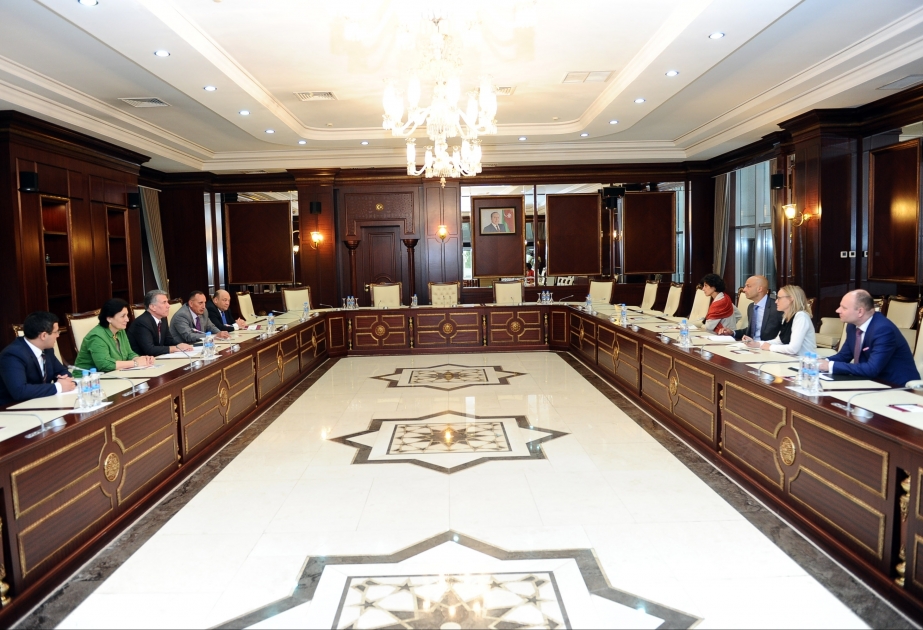 First Vice Speaker: Azerbaijan attaches great importance to cooperation with NATO