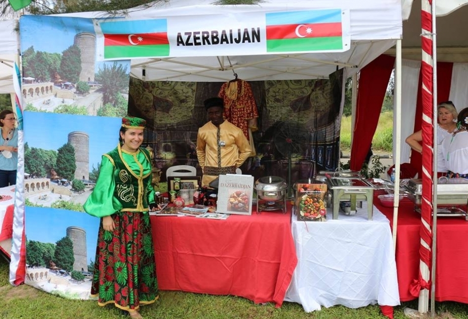Azərbaycan Nigeriyada beynəlxalq festivalda təmsil olunub