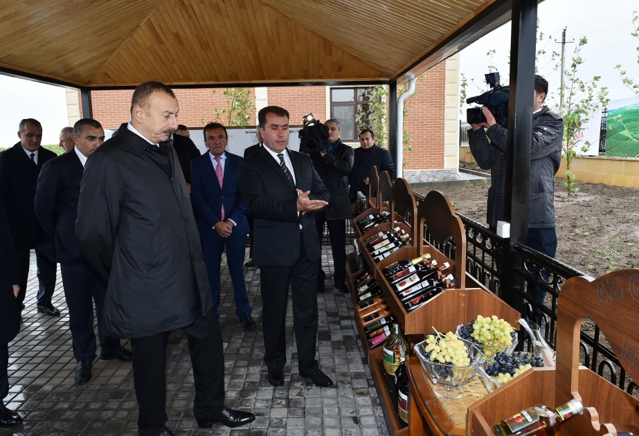 Prezident İlham Əliyev Şamaxıda “Az-Granata” MMC-yə məxsus üzüm bağları ilə tanış olub VİDEO