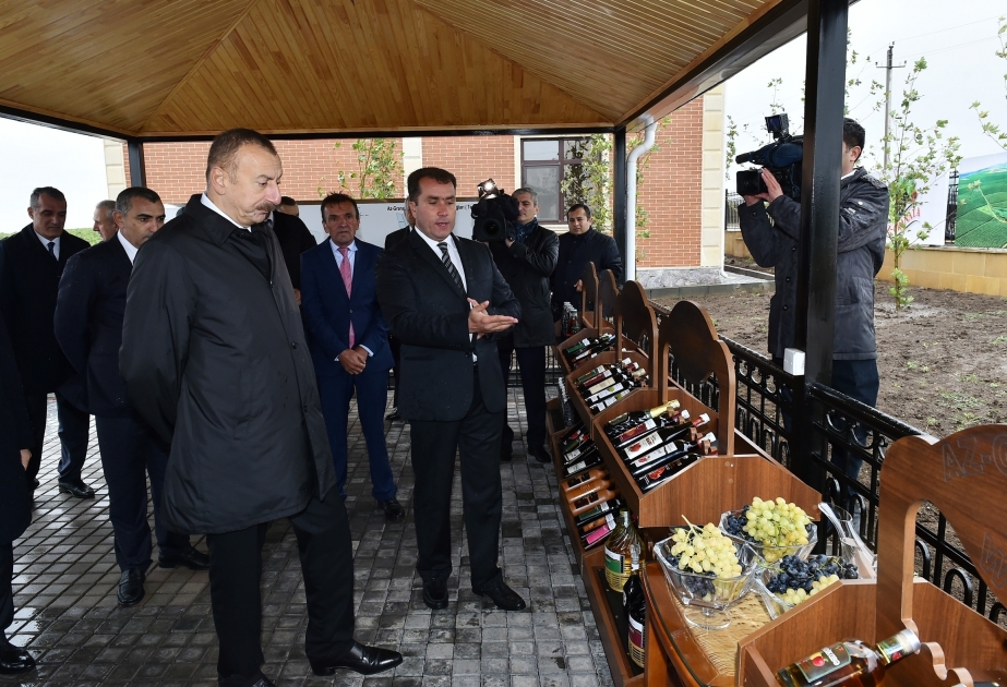 President Ilham Aliyev viewed Az-Granata vineyards in Shamakhi VIDEO