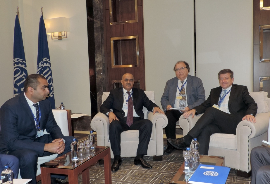 Azerbaijan, International Labour Organization discuss relations