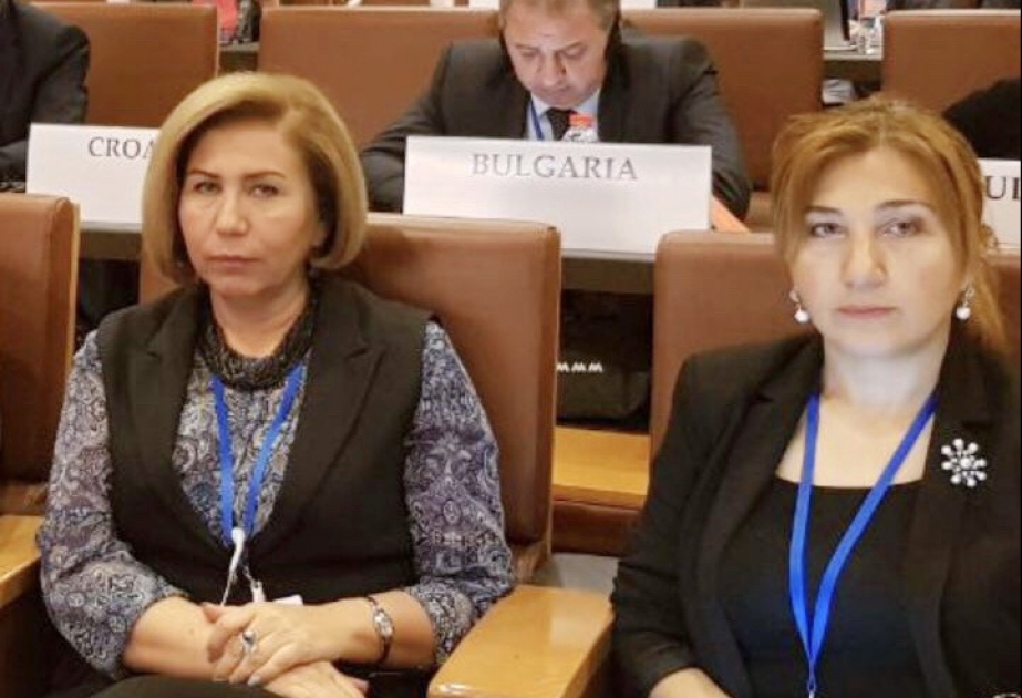 Bahar Muradova: İpək Yoluna Dəstək Qrupunun növbəti görüşünün uğurlu olması üçün əlimizdən gələni edəcəyik