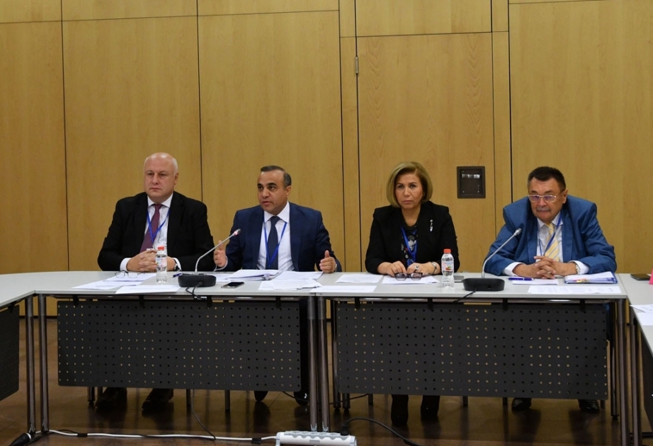 Austria, Poland and Macedonia join Silk Road Support Group in the OSCE PA
