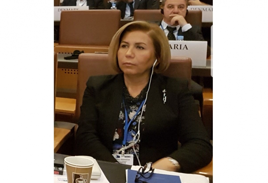 Bahar Muradova: Bizə dialoq xatirinə dialoq yox, onun məhsuldarlığı lazımdır