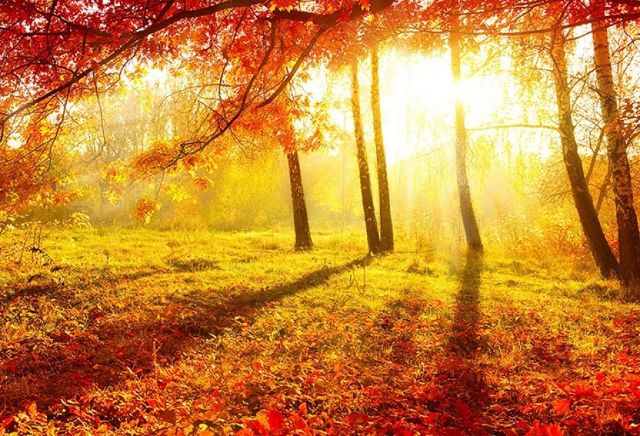 Havanın temperaturu ötən günlərlə müqayisədə yüksələcək