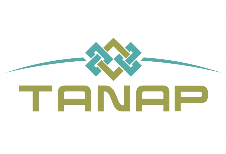 Berat Albayrak: TANAP-ın inşası planlaşdırılandan əvvəl başa çatacaq