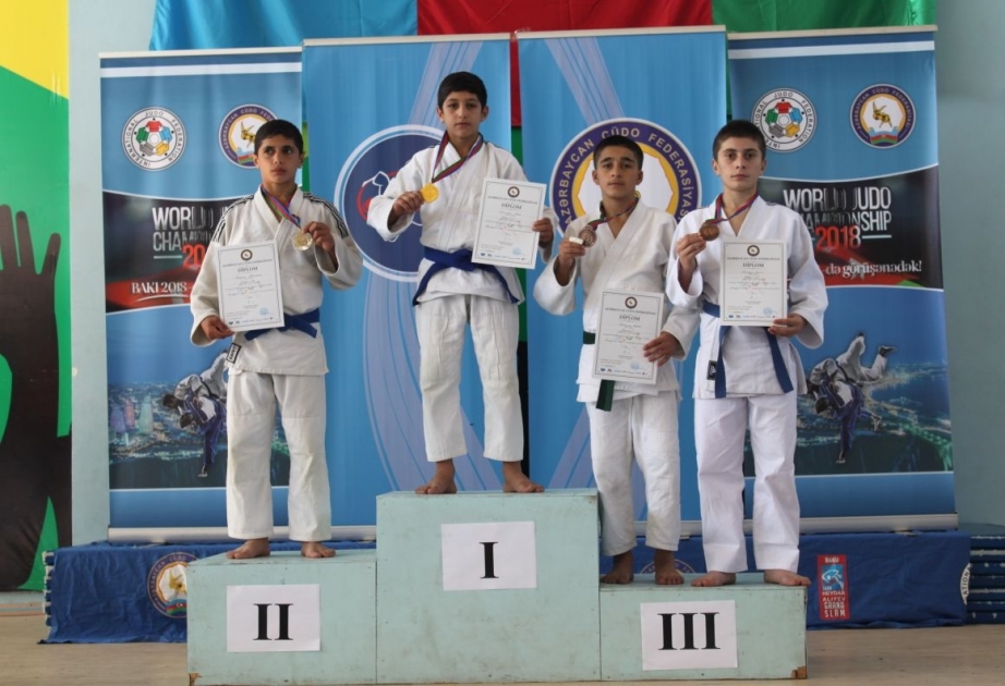 Qəbələ cüdoçuları regional birinciliyin qalibi olublar