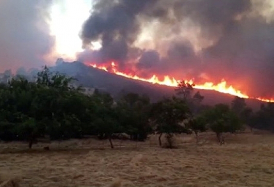 Waldbrände in Kalifornien: Zahl der Tote steigt auf elf