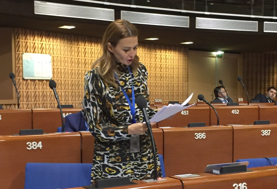 Q.Paşayeva: Azərbaycan Ermənistanın dəstəklədiyi təşkilatların terror aktlarından böyük əziyyət çəkib