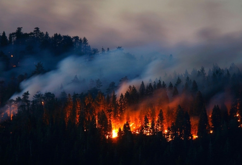 Kaliforniyada meşə yanğınları davam edir: ölənlərin sayı 31 nəfərə çatdı