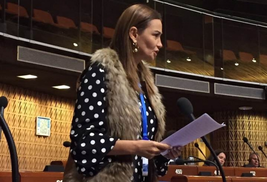 Qənirə Paşayeva: Terrorçunu qəhrəman edən işğalçı ölkənin nümayəndələrinin ədalətdən danışmağa haqqı yoxdur