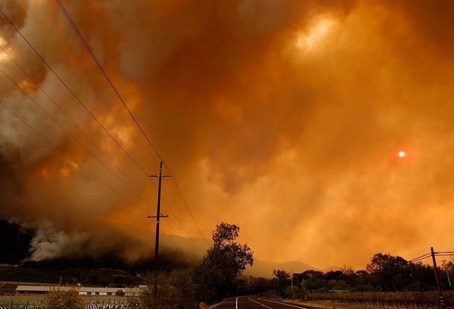 Kaliforniyada meşə yanğınları nəticəsində həlak olanların sayı artır VİDEO