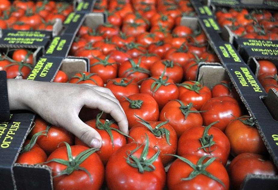 Rusiya dekabrın 1-də Türkiyədən pomidor idxalına başlayacaq