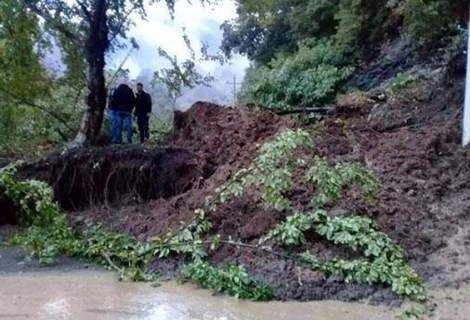 В динамике экзогенно-геологических процессов зафиксирована определенная активность