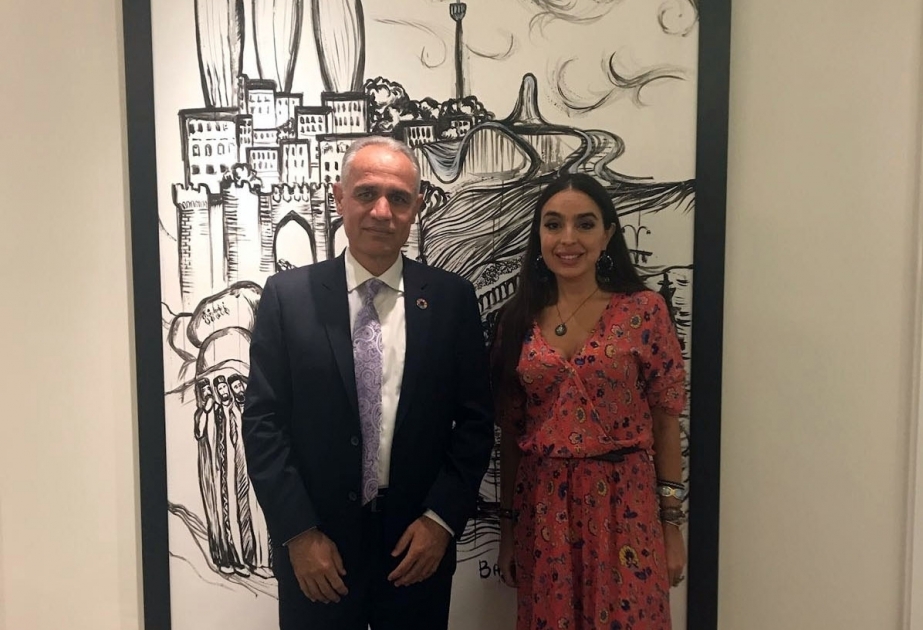 莱拉·阿利耶娃会见联合国驻阿塞拜疆协调员古拉姆·伊萨克扎伊