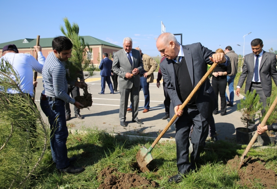 AZERTAC employees visit Jojug Marjanli VIDEO