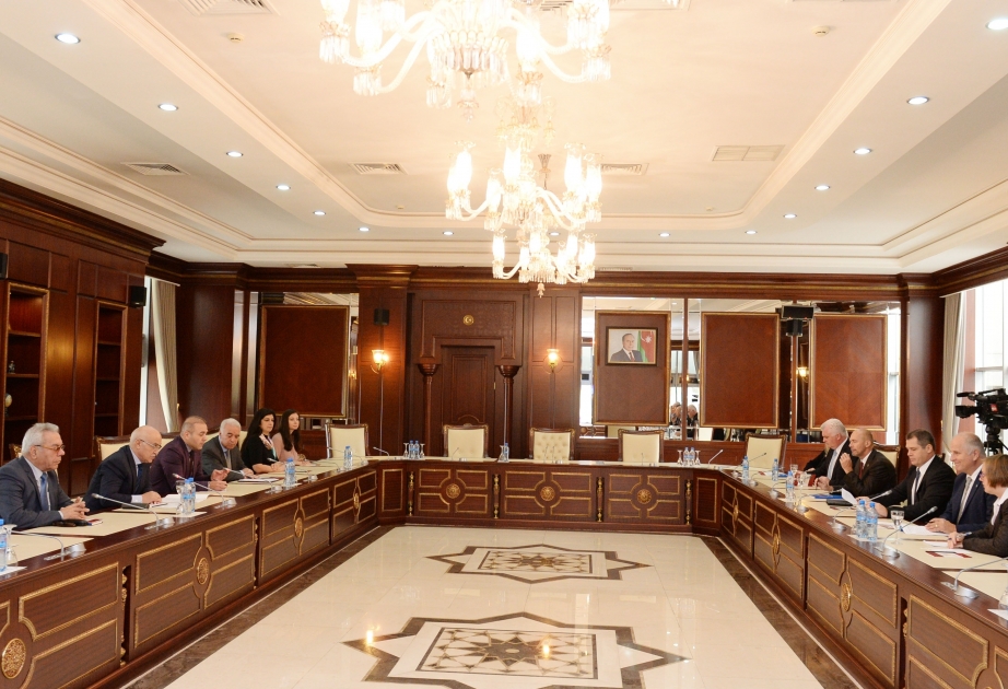 Vice president of Czech Senate hails his country's political relations with Azerbaijan