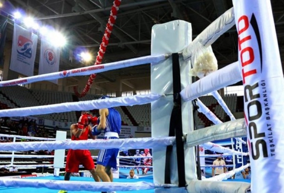 Two Azerbaijani boxers into European Youth Championships semifinal