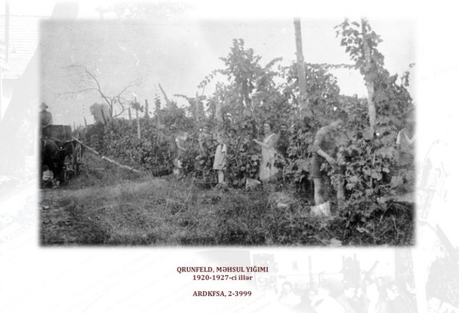 Milli Arxiv İdarəsinin növbəti virtual sərgisi - “Almanlar Azərbaycanda 200 il”