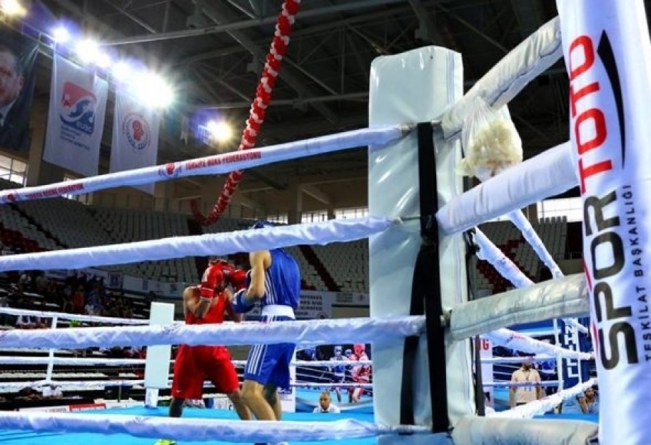 Two Azerbaijani boxers reach European Youth Championships final