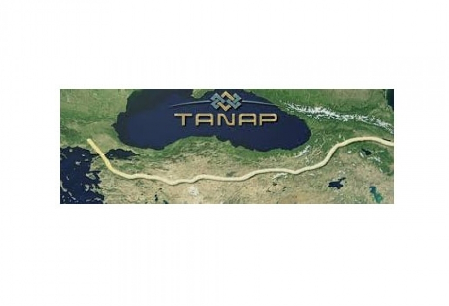 TANAP is of key importance in terms of meeting natural gas demand of Turkey, President Erdogan
