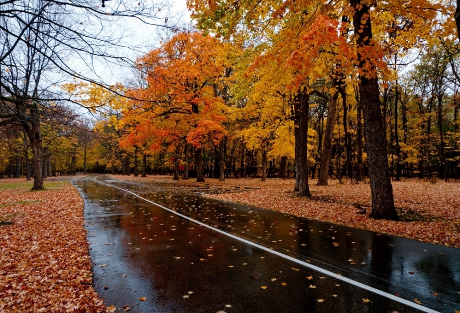 Havanın temperaturu düşəcək, bəzi bölgələrdə yağış, dağlıq ərazilərdə qar yağacaq