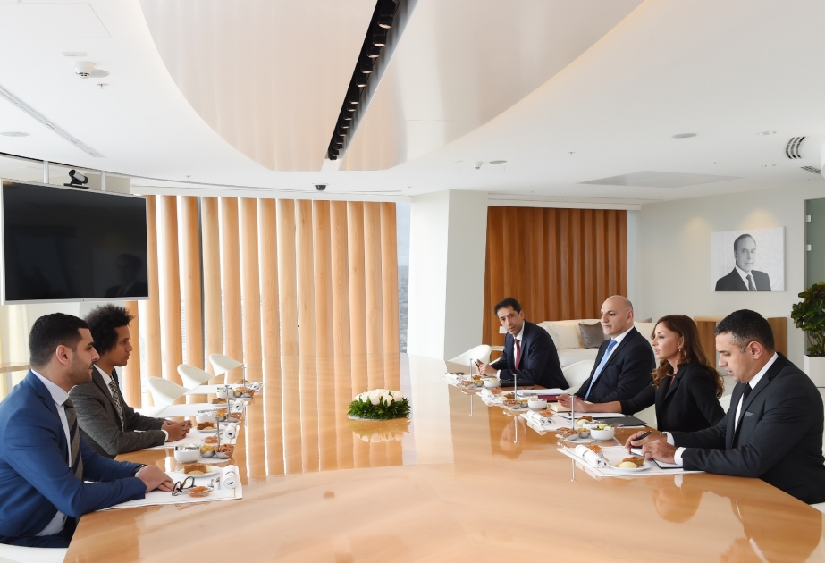 La Première vice-présidente de l’Azerbaïdjan a rencontré les membres du groupe d’amitié France-Azerbaïdjan de l’Assemblée nationale française