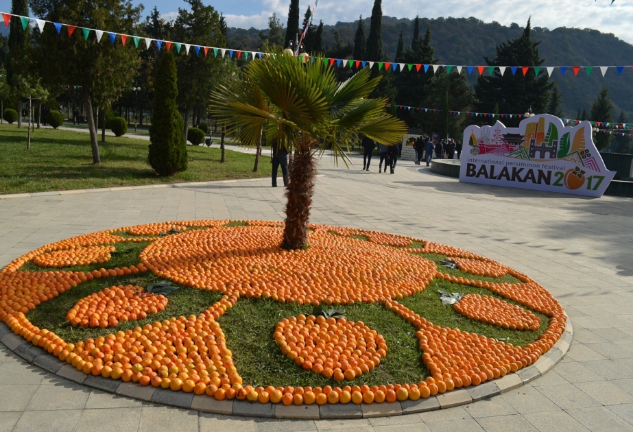 Erstes Internationales Festival, Dattelpflaume in Balakan-  PHOTOEPORTAGE