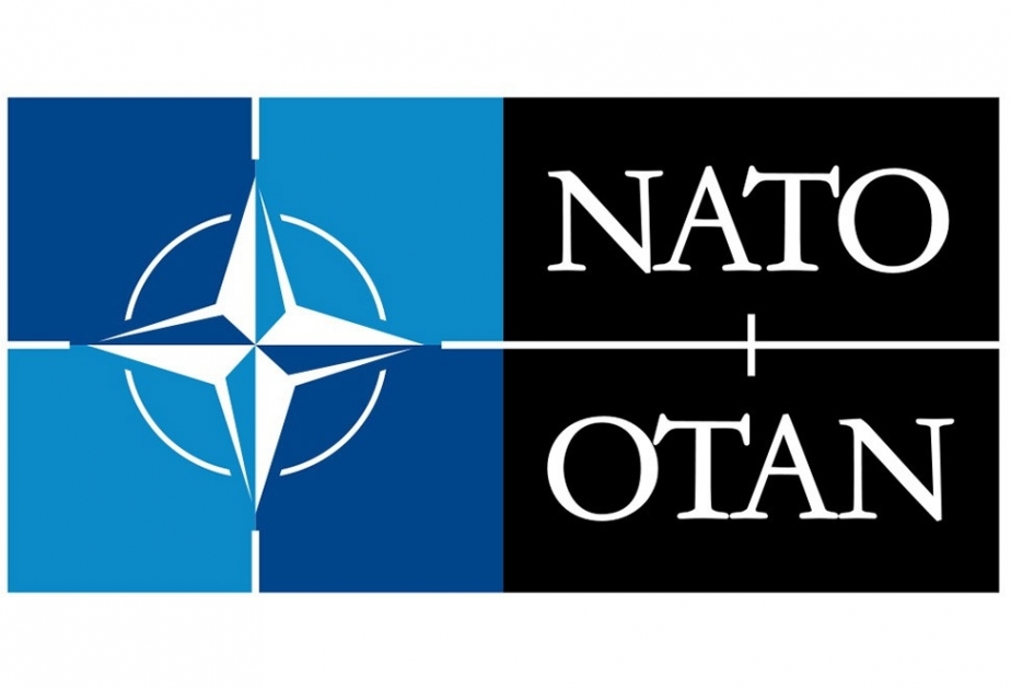 Milli Məclisin deputatı NATO PA-nın Rouz-Rout seminarında iştirak edəcək