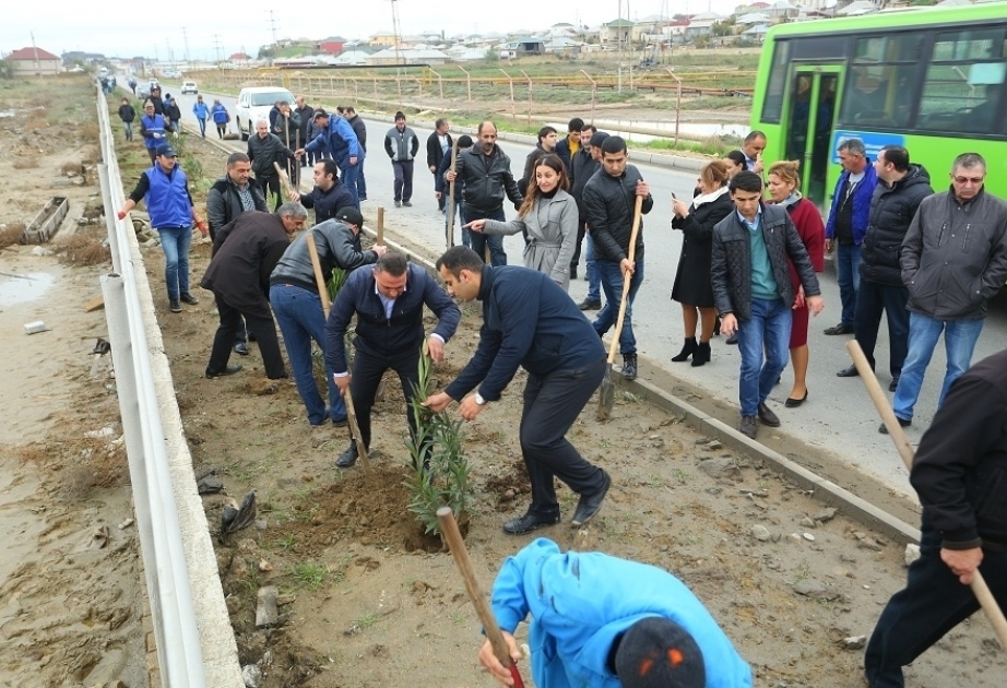 Binəqədidə iməcilik və ağacəkmə aksiyası keçirilib